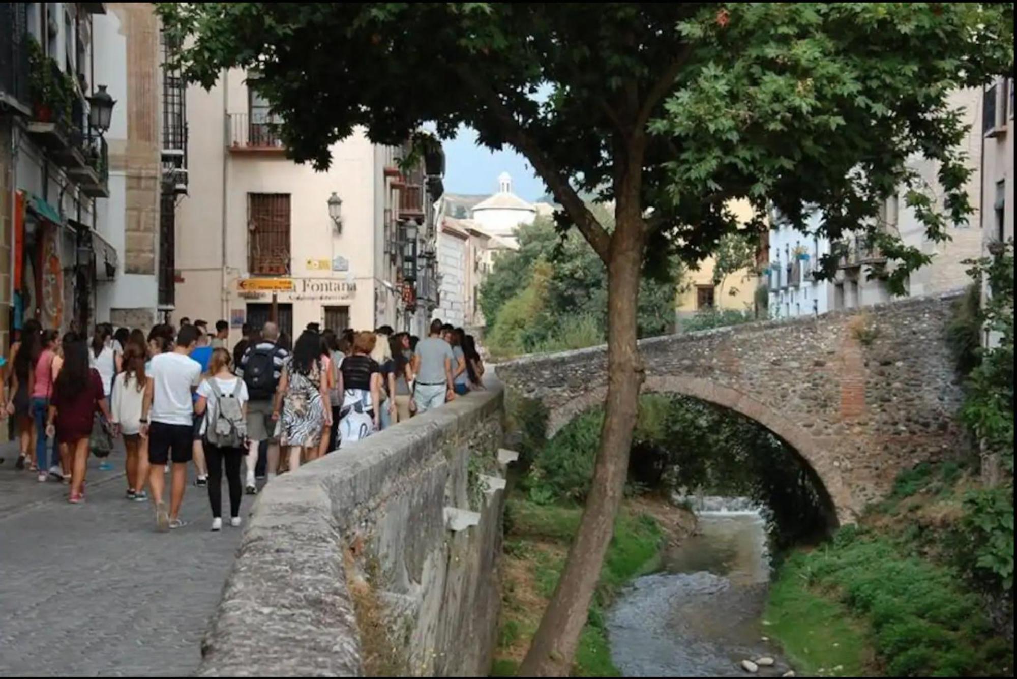 Apartamentos Centro Historico A Los Pies De La Alhambra Granada Eksteriør billede